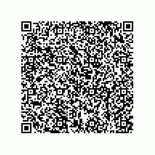 vCard 79608017233