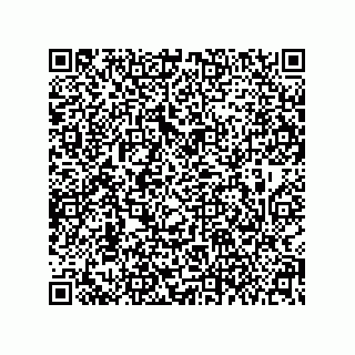 vCard 79608017331