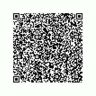 vCard 79608017335