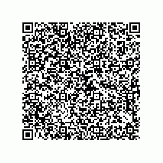 vCard 79608017337