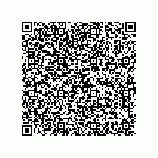 vCard 79608017403