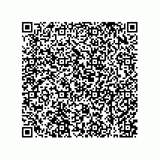 vCard 79608017441