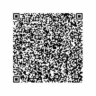 vCard 79608017704