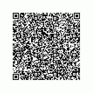 vCard 79608018131
