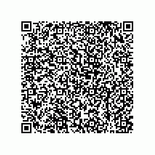 vCard 79608019233