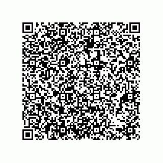 vCard 79608019331
