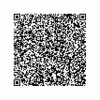 vCard 79608019334