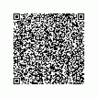 vCard 79608019341