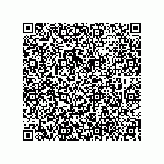 vCard 79608020331