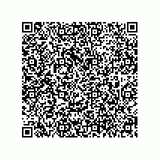 vCard 79608022131
