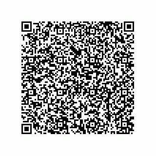 vCard 79608022331