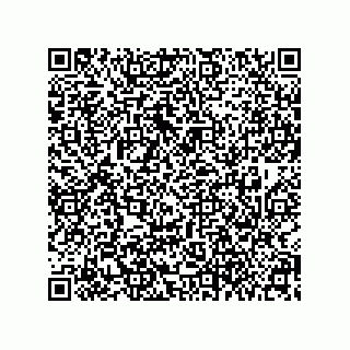 vCard 79608029331