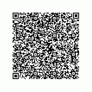 vCard 79608029482