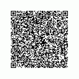 vCard 79608029489