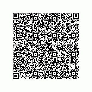 vCard 79608033732