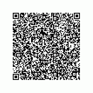 vCard 79608035313