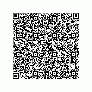 vCard 79608035319