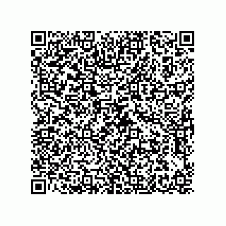 vCard 79608035331