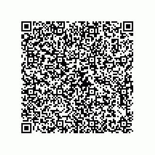 vCard 79608035403