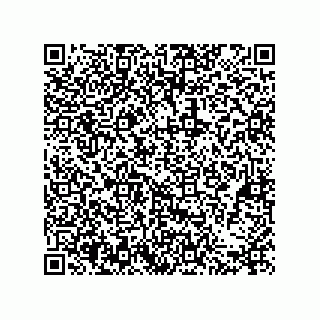 vCard 79608075331