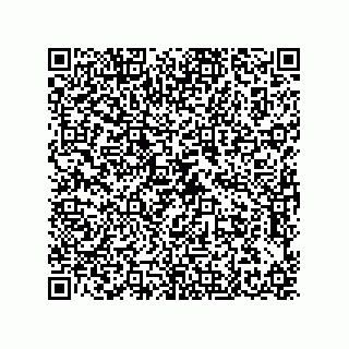 vCard 79608076355