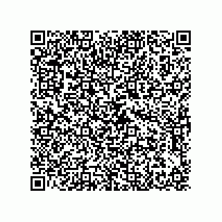 vCard 79608078433