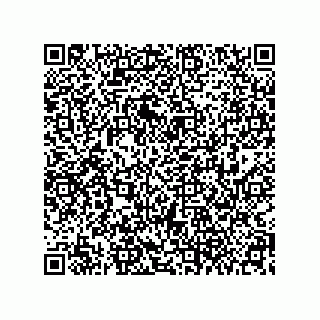 vCard 79608079296