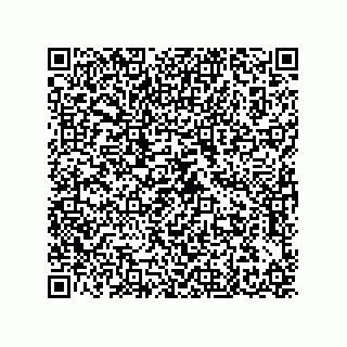 vCard 79608079303