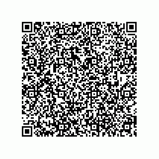 vCard 79608079313