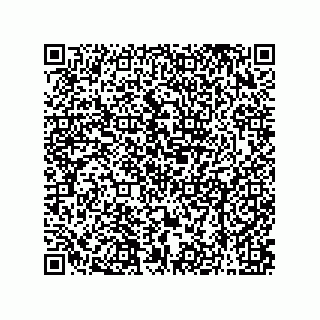 vCard 79608079335