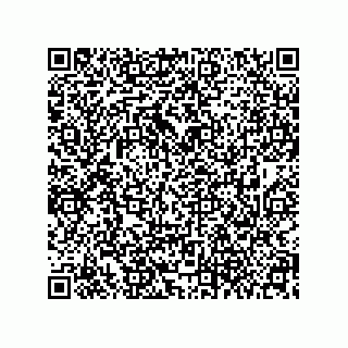 vCard 79608079337