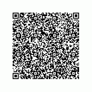 vCard 79608079409