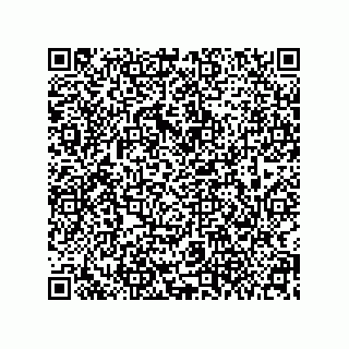 vCard 79608079413