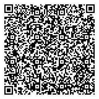 vCard 79608080331