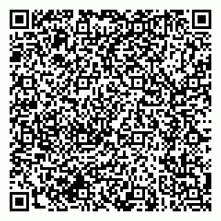 vCard 79608970132