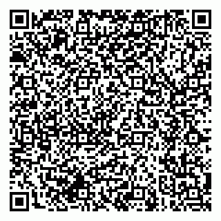 vCard 79608970133