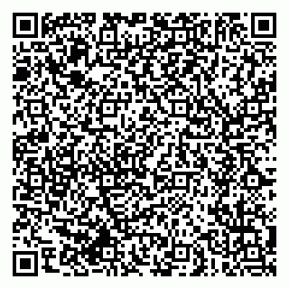 vCard 79608970293
