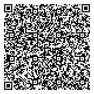 vCard 79608970329