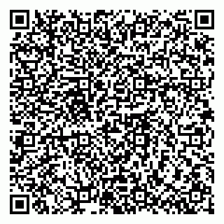 vCard 79608970334