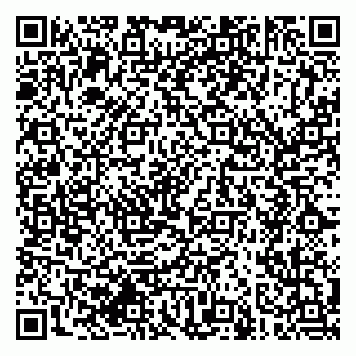 vCard 79608970339