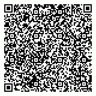 vCard 79608970387