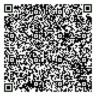 vCard 79609013039