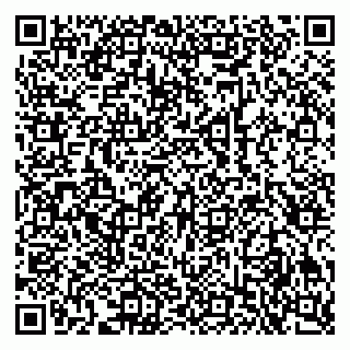 vCard 79609013539