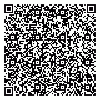 vCard 79609021933