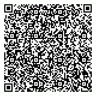 vCard 79609032003
