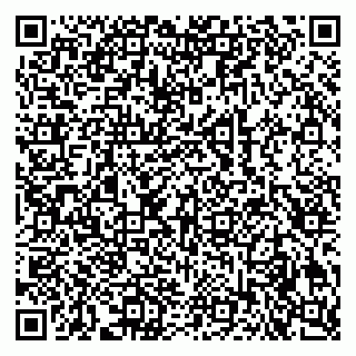 vCard 79609032005