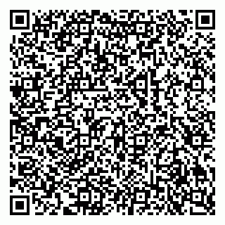 vCard 79609035331