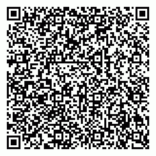 vCard 79609038131