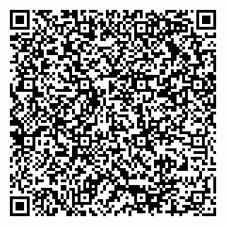 vCard 79609038409