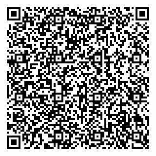 vCard 79609353385
